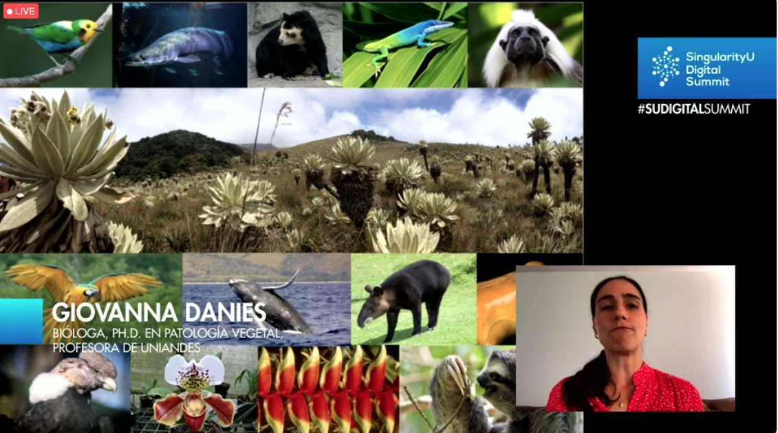 ImpactoTIC's tweet image. #SUDigitalSummit  ¿Qué mejor lugar para trabajar #biodiseño si no es Colombia? "Somos privilegiados tenemos un sin fin de organismos vivos": @gd243