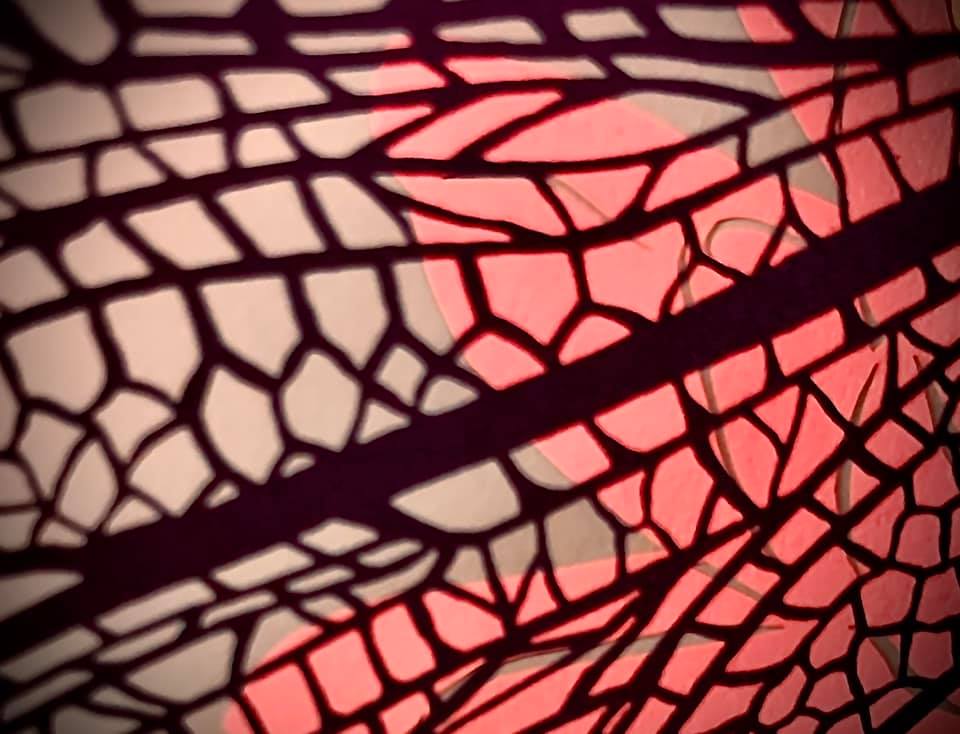Essinova's tweet photo. Seeing the Overlooked thru #Abstract #Photography: review of Session 5 of Essinova's Artful Life summer playshops https://t.co/DK7zyps1hr   #creativity #art #observation #beauty #visualart #abstractart #Discovery #Photographie #emotional #emotions #transformation https://t.co/jokAjWz9om