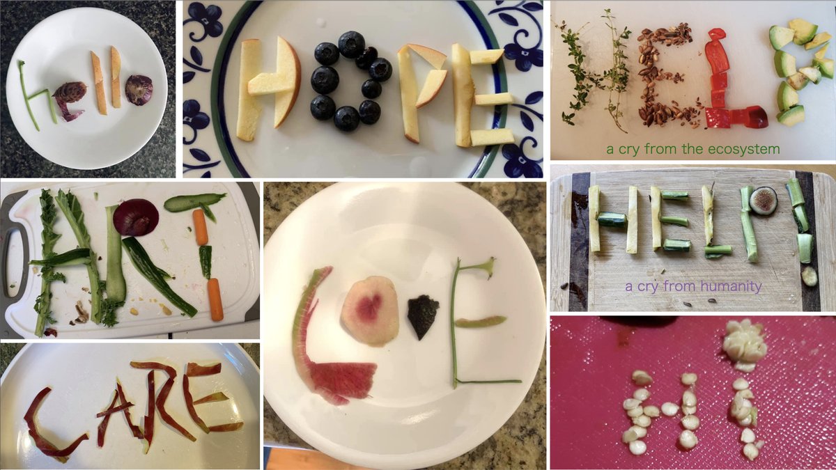Essinova's tweet photo. #Senses &amp; Sensibility in #food: review of Session 6 of Essinova's Artful Life summer playshops https://t.co/IP31hlaQbZ  #creativity #Cooking #sensory #environmental #sustainability #upcycling #culinary #culinaryart #recycled #NatureTherapy #foodwaste https://t.co/Jlp5rekdbX