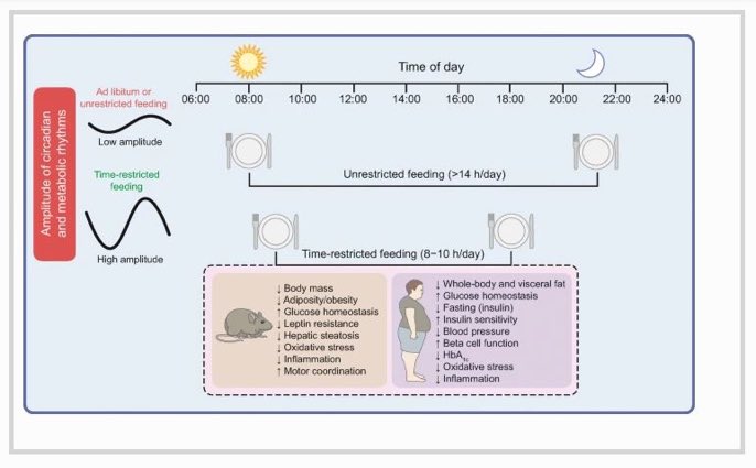 Diabetologia tweet media