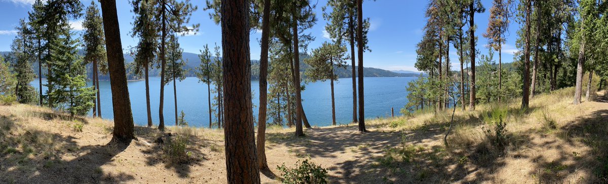 Anyone know much about Coeur d’Alene? Recommendations on food/drink? We’re here for the weekend and loving it so far. #idaho #cda #vacation <a href="/CoeurDAleneLife/">Coeur d'Alene Life</a>