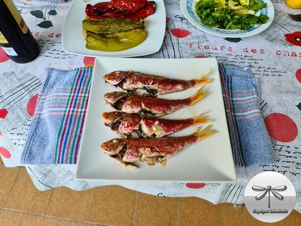 Os presento al Salmonete de roca. Ya los griegos y los romanos valoraban este delicioso pescado, los llevaban vivos a la mesa para que los comensales observaran los cambios de color tras su muerte .Posee una gran cantidad de yodo, superando al de la mayoría de los pescados.