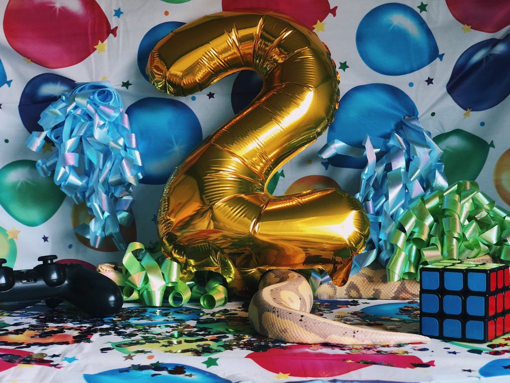 Kamryn_xo's tweet image. Happy 2nd birthday to my sweet Yoshi!🥰🥳💗🐍 

#snakemom