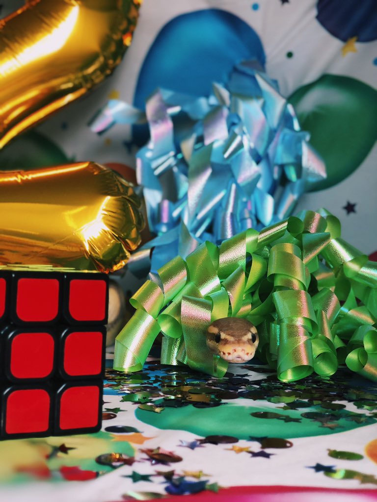 Kamryn_xo's tweet image. Happy 2nd birthday to my sweet Yoshi!🥰🥳💗🐍 

#snakemom