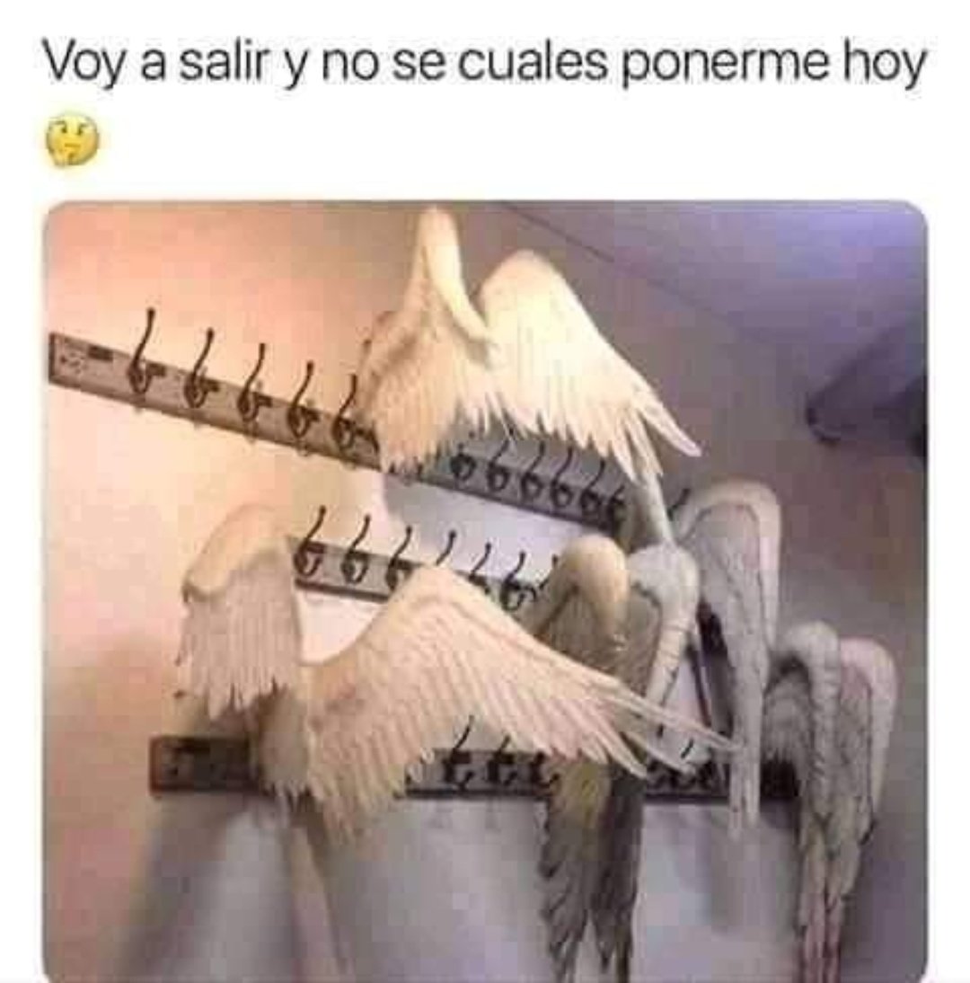 kikaagsf's tweet photo. Cuál? https://t.co/SWTpDIZJ4H