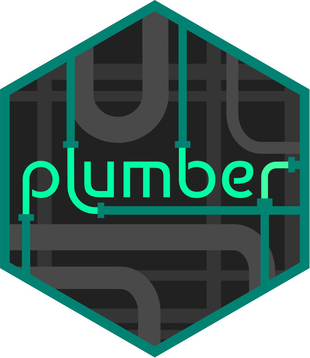 new plumber hex logo
