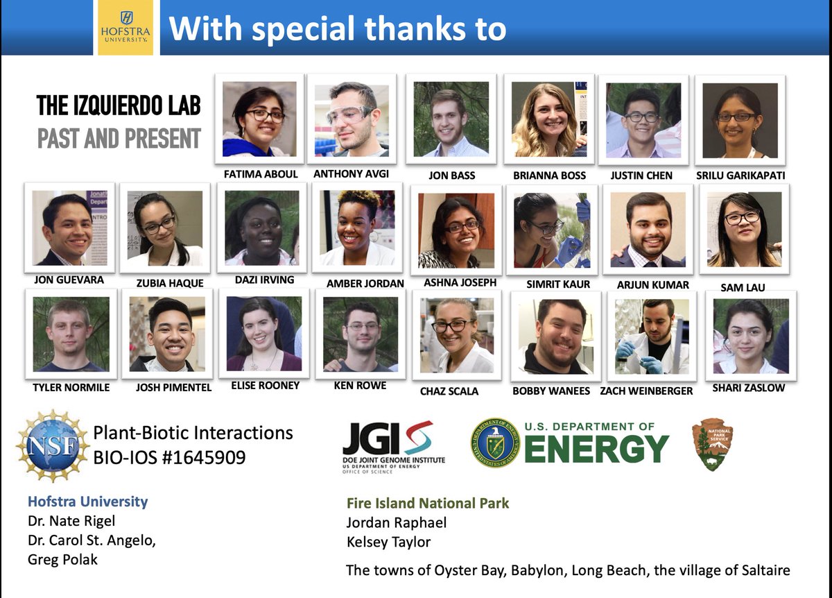 Javier Izquierdo tweet media