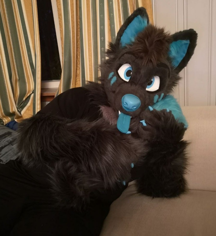 Haven't posted for #FursuitFriday in a while. Been too tired, but today this fluff is in snugglemode ;3