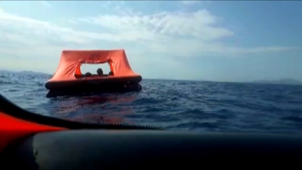 3CatInfo tweet media