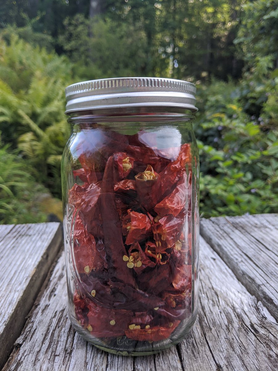 A quart of dried cayenne. Getting a lot of use out of my new dehydrator.