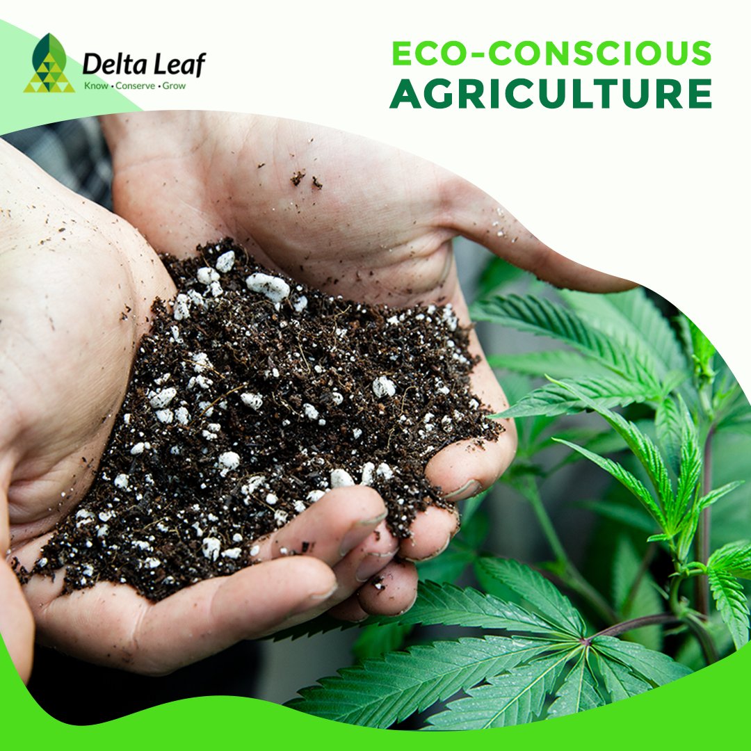 DeltaLeafLabs's tweet photo. Happy Friday everyone! Just a reminder to make sure you're incorporating eco-friendly techniques when it comes to growing. Need any tips on how to be a more eco-conscious grower? Ask us how! We're always happy to help. 🤓🌍
#deltaleaf #knowconservegrow #environmental https://t.co/jo31qZnzK7