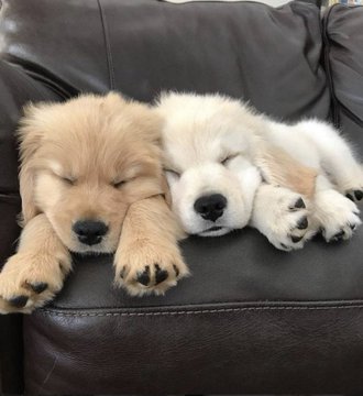 Chill & Arts (@chillingarts) on Twitter photo 