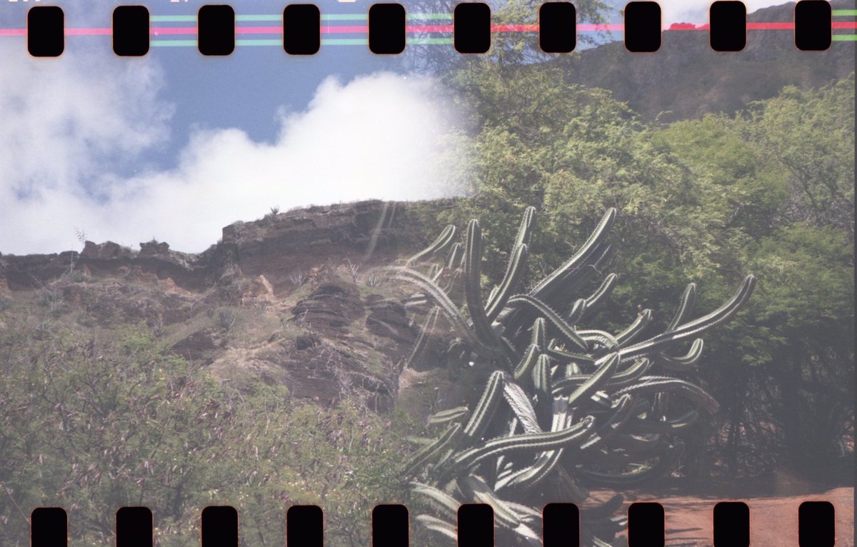 3eyedmonster's tweet photo. Change of terrain #35mm #sprocketholes #doubleexposure #believeinfilm #splitzer https://t.co/bQcUUUeUhf