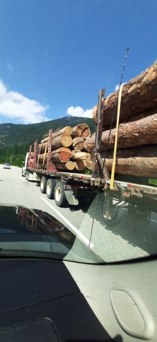 @KathieDavid @TJWattPhoto @DonaldsonDoug @jjhorgan @mongabay We can't expect @MongaBay to #StopOldGrowthLogging In BC if ouR Premier @jjhorgan won't even heed his own constituents!?? We need 2 demand a #moratorium NOW, it's thAT urgent!! @ecojustice_ca @SierraClubBC @standearth  @wildernews  #bcpoli