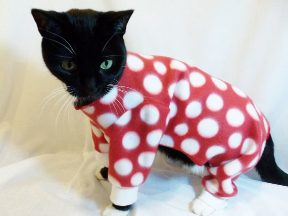 My hobbies include having pajamas that are purrfect for each of my moods during the day..
#FelineFriday #CoronaLife #TheNewNormal #BlackCatsRule #AdoptDontShop #RescuesRock #FeralFriday
