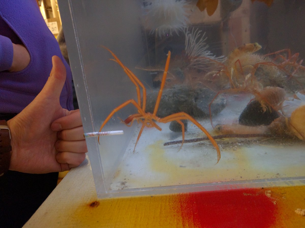 Jackson Chu, PhD 🍁@jwfchu.bsky.social tweet media