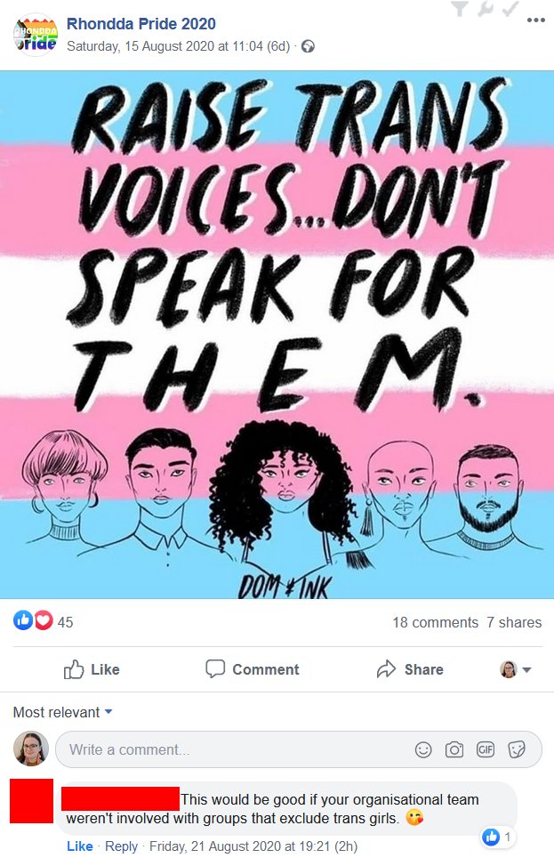 So it seems  @RhonddaPride's Alex Black is kicking off on facebook claiming they're not transphobic or racist. Despite what they are saying RP has not apologized for the incidents last year and are ignoring any proof 