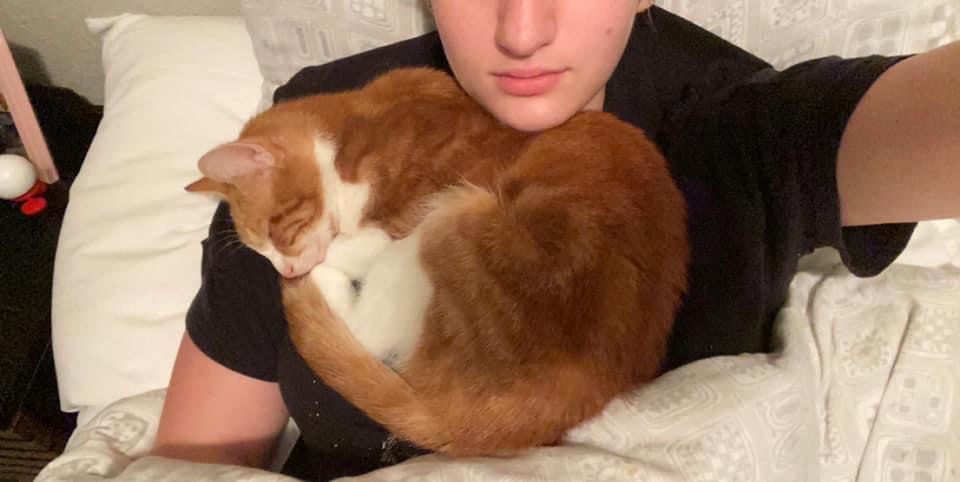 HSGSav's tweet image. Foster update: Ziggy 
He is having the best time in foster!