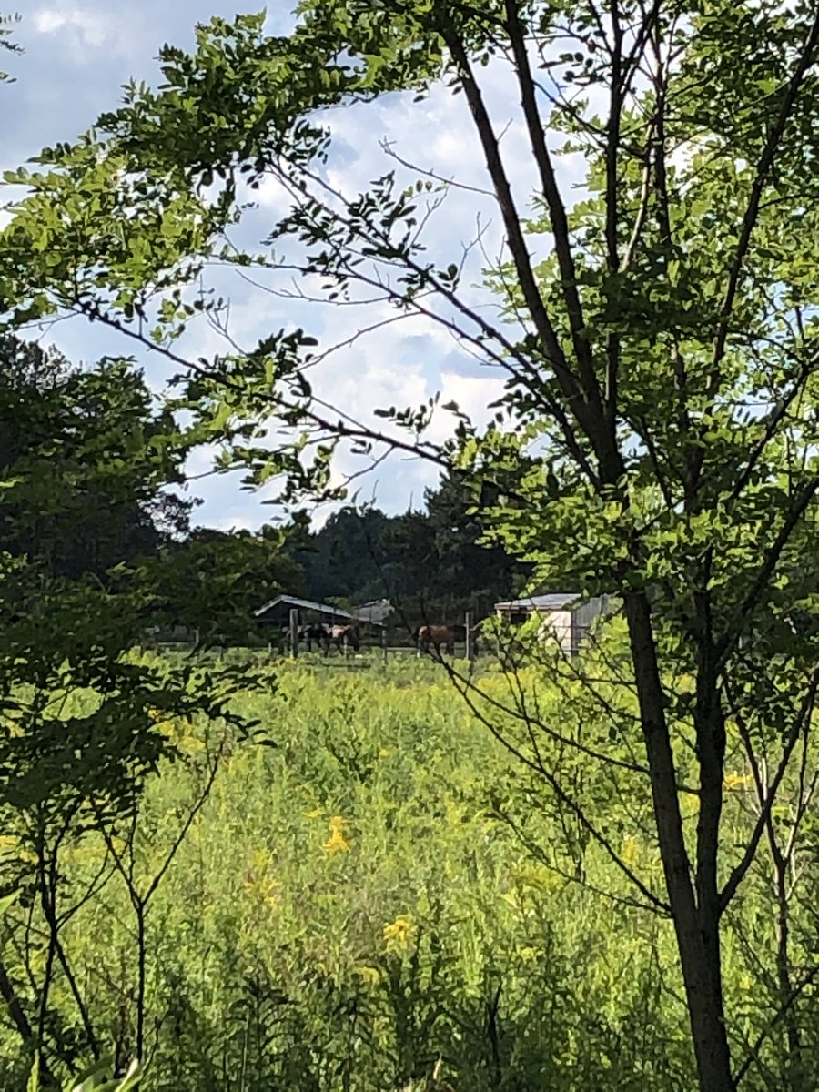 ...and here is Hannibal’s secret glass cottage where he absconds w Will for the final fight with the Dragon and their romantic plunge over (non-existent!) cliffs (in reality the historical house / compound / workshop of artist Cleeve Horne!).  #Hannibal