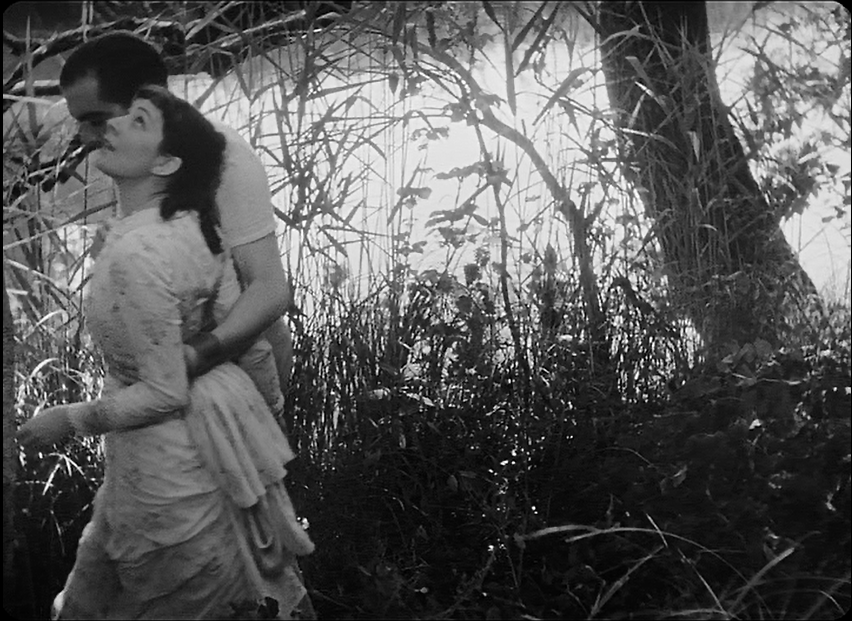 5. A Day In The Country (Jean Renoir, 1936) (16 votes)