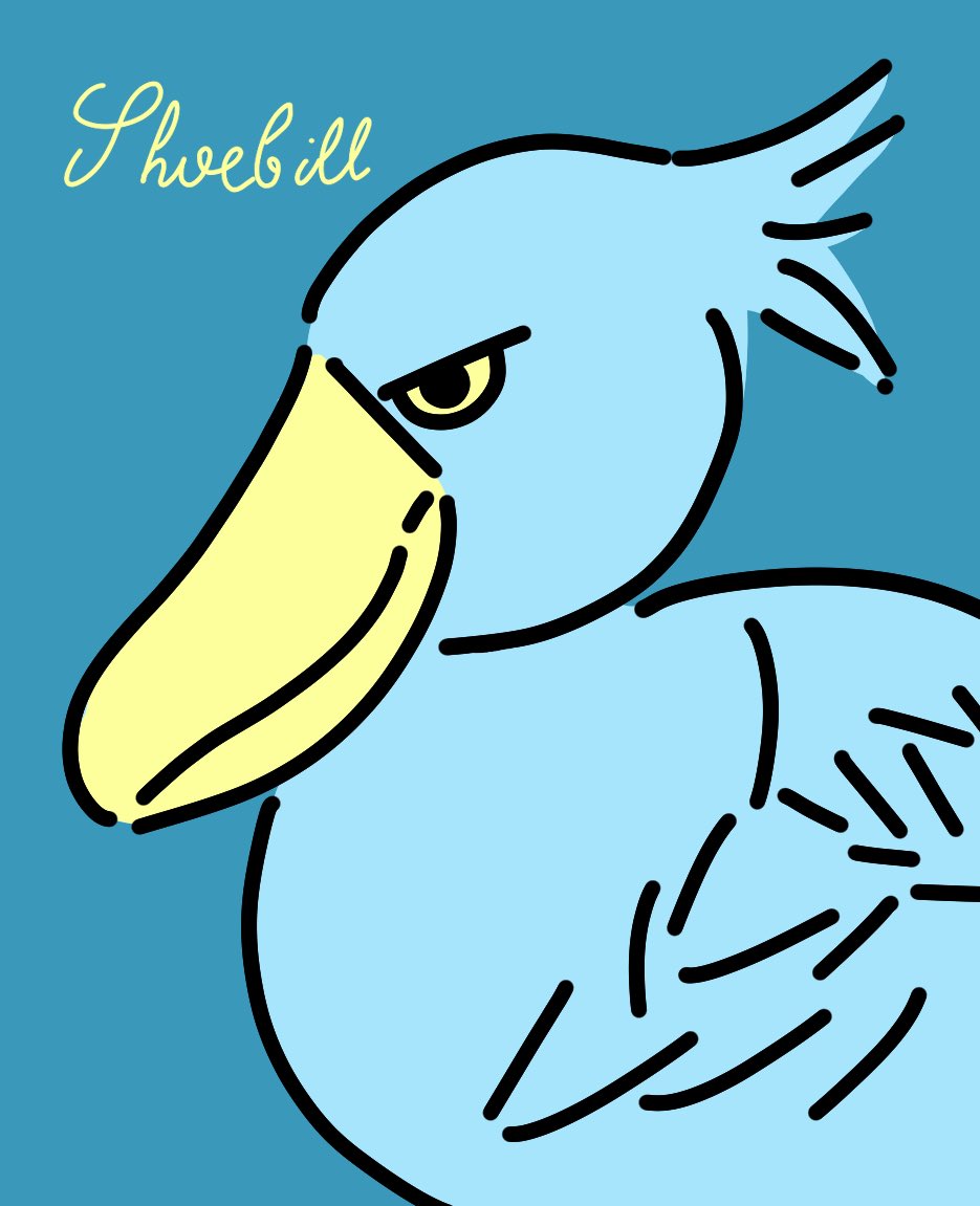 くらながつかさ ハシビロコウの横顔 ハシビロコウ Shoebill イラスト くらながつかさ ハシビロコウの横顔 ハシビロコウ Shoebill イラスト