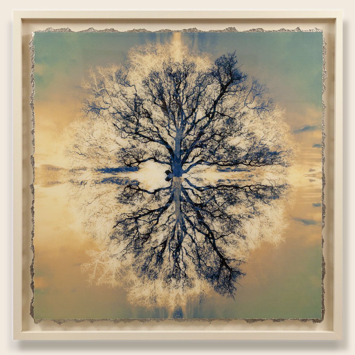 MarkWellandArt's tweet photo. SAFE ARBOR 13 has taken a departure from the usual black and white. Exploring colour themes on a warm base, I’ve made 2 large 90cm square pieces which will be shortly available through @cliftonfineart . Archival print with tin leaf in resin. #colourtheme #safearbor #oak #resin https://t.co/RJyyf4gBmB