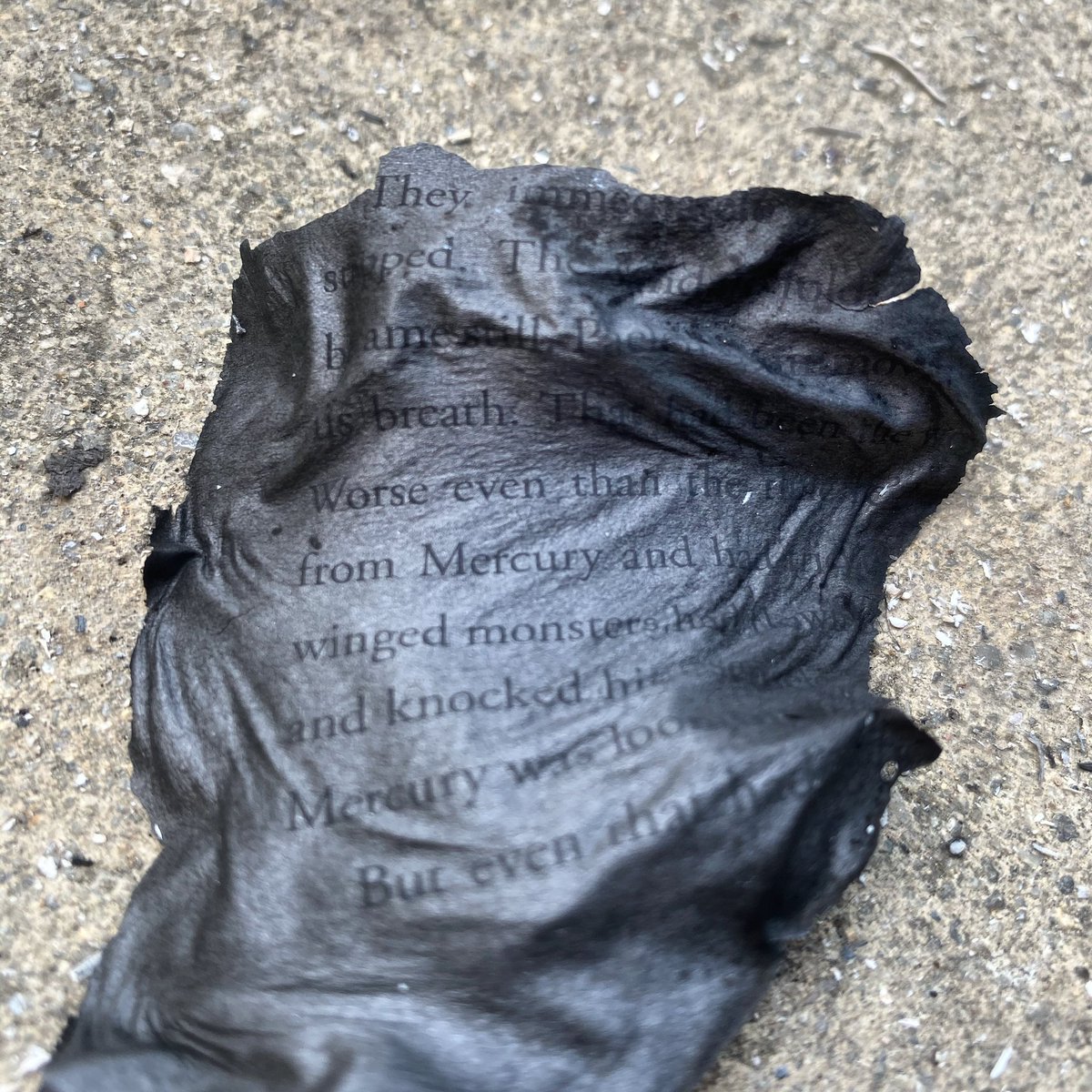 lka79's tweet photo. This landed in our driveway. A page from Pegasus: The Flame of Olympus by Kate O’Hearn. It’s a book series for 8-12 year olds.  😔  We’re on the upper Westside of Santa Cruz  #czulightningcomplex @CAL_FIRE @nickmibarra @CALFIRECZU https://t.co/RHIZeojA6Y
