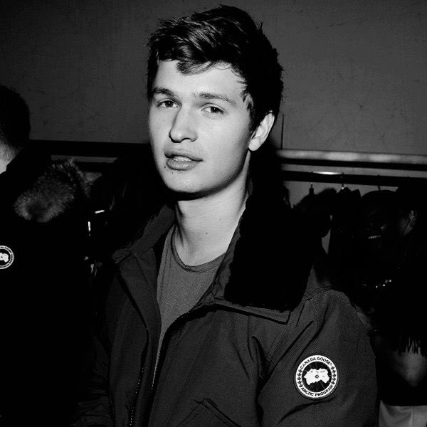 Josh Allen—> Ansel Elgort- High expectations- Loyal fanbase- Mostly successful young career #Bills