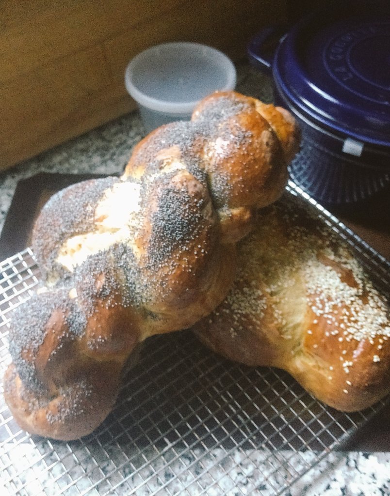 shoelaces3's tweet photo. They're over-proofed and mis-shapen, but they're mine. It's so nice to have weather cool enough that I can bake the #FridayBread again. Shabbat shalom, everyone! https://t.co/iW6kCWG965