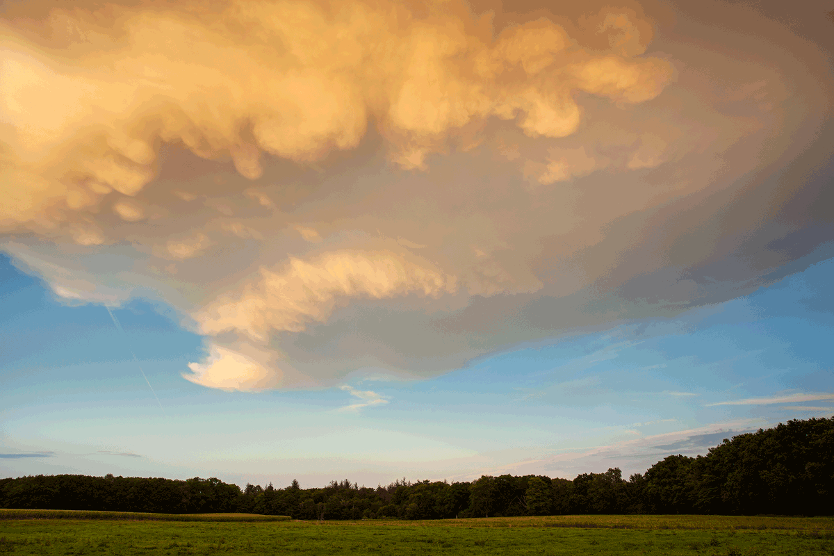 MBergnerFoto's tweet photo. Today I wanted to capture the #Sunset but witnessed the birth and rise of a #tunderstorm above Naturpark Westensee! #Photography #landscapephotography #Thunderstorm #Clouds #Weather #SchleswigHolstein
Part I https://t.co/zrVVxhz4AV