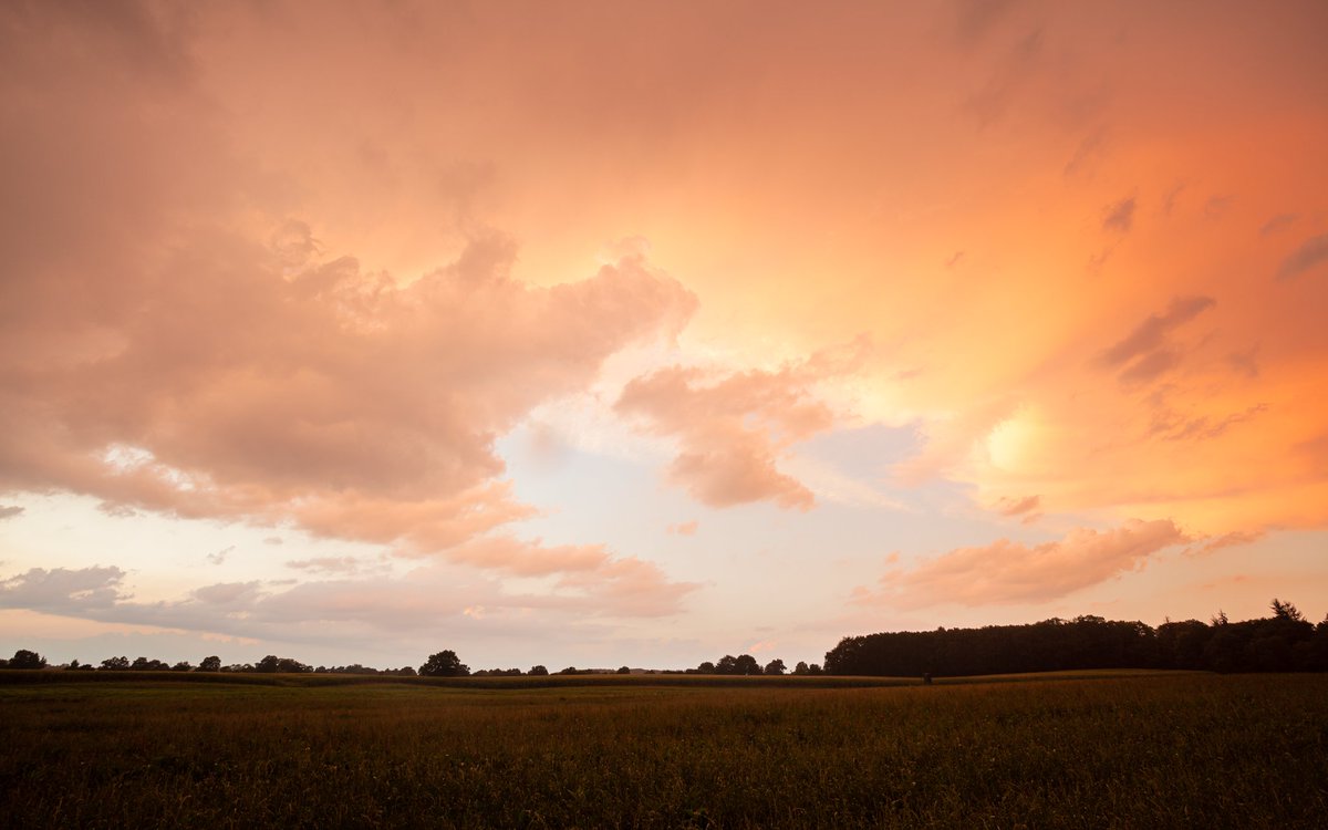 MBergnerFoto's tweet photo. Today I wanted to capture the #Sunset but witnessed the birth and rise of a #tunderstorm above Naturpark Westensee! #Photography #landscapephotography #Thunderstorm #Clouds #Weather #SchleswigHolstein
Part II https://t.co/YeTkhovmM8