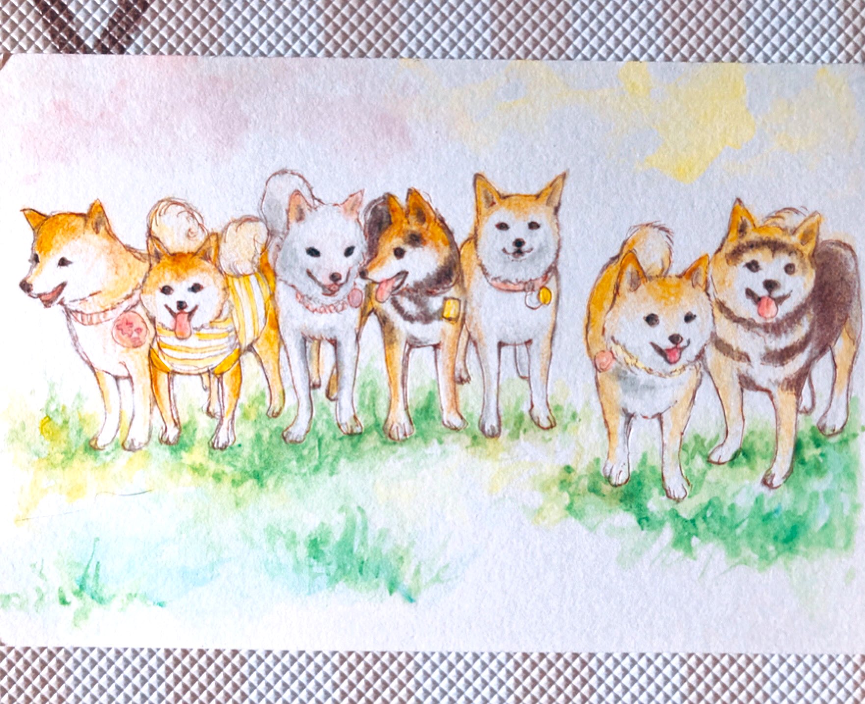 柴イラスト Twitter Search Twitter