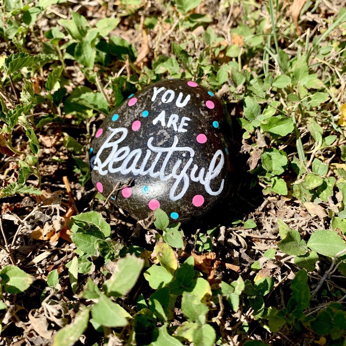 Seton Home tweet media