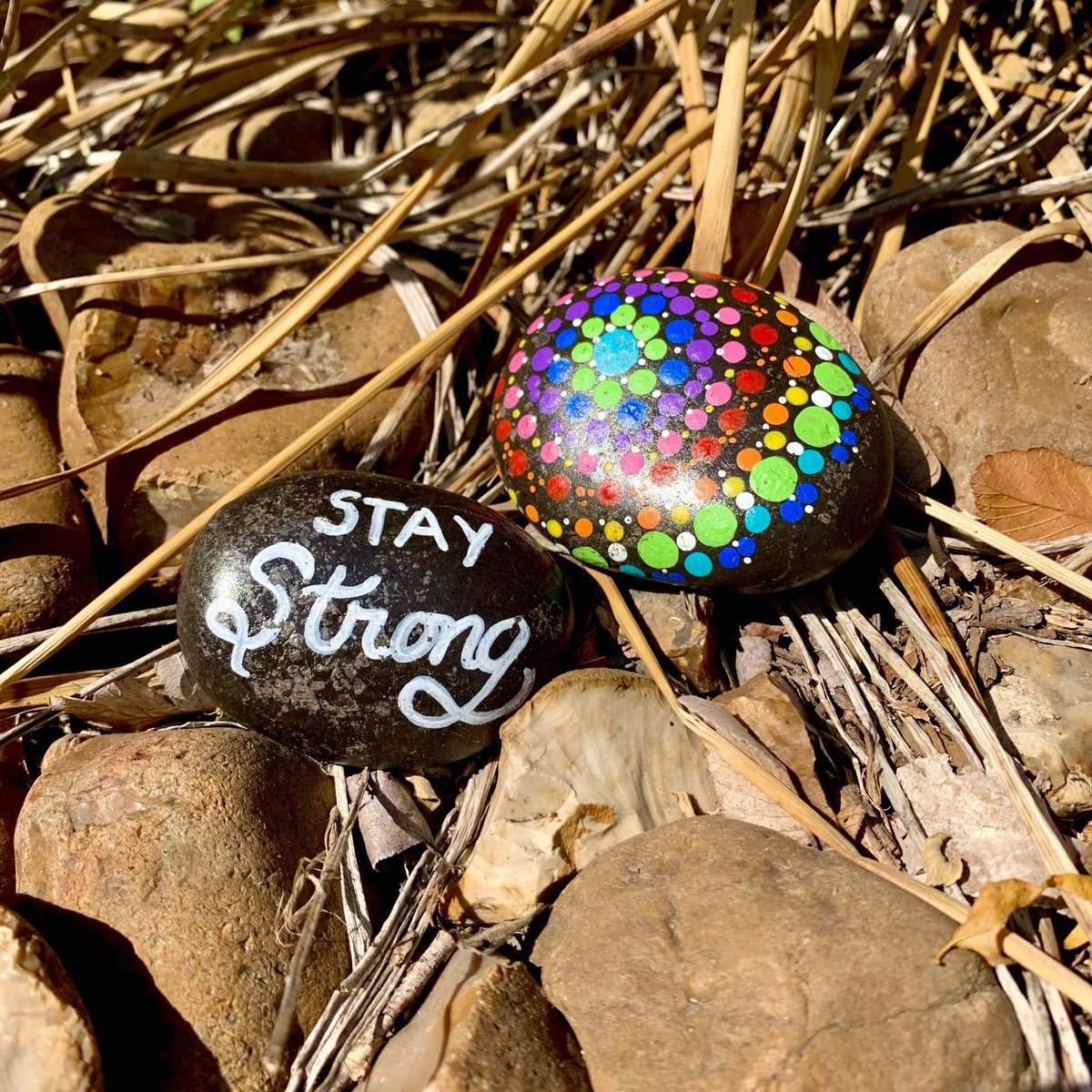 Seton Home tweet media