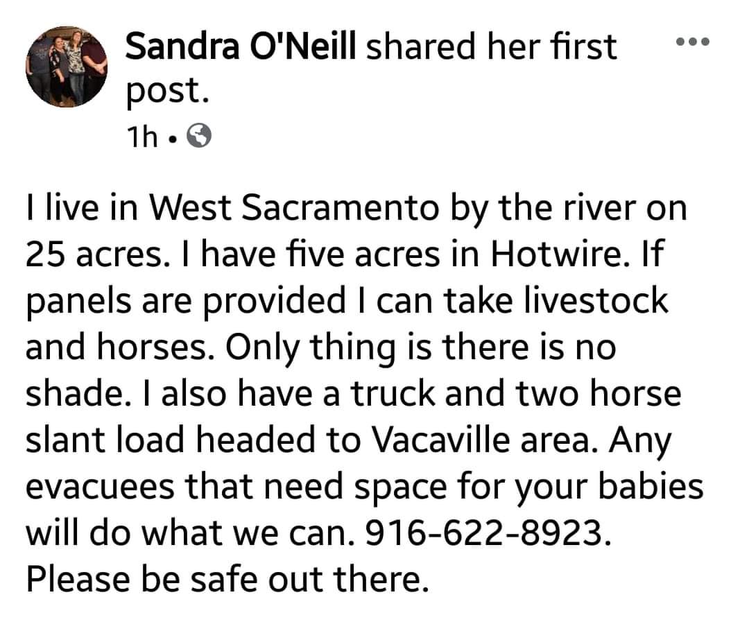  #LNULightningComplex #SonomaCounty  #NapaCounty #SolanoCounty  #Horses &  #Livestock  #Animals  #PetsContact:  http://www.facebook.com/sandra.oneill.1675Post   https://www.facebook.com/groups/307043393748112/permalink/324772585308526/ #CaliforniaFires  #DAT