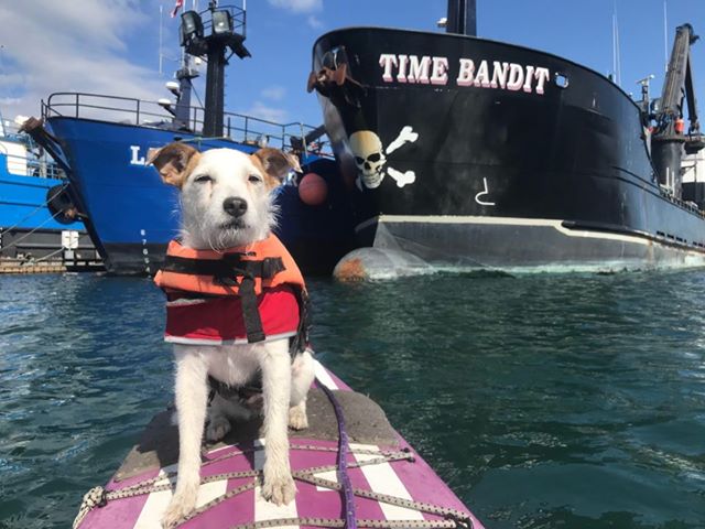 Andy Hillstrand tweet media