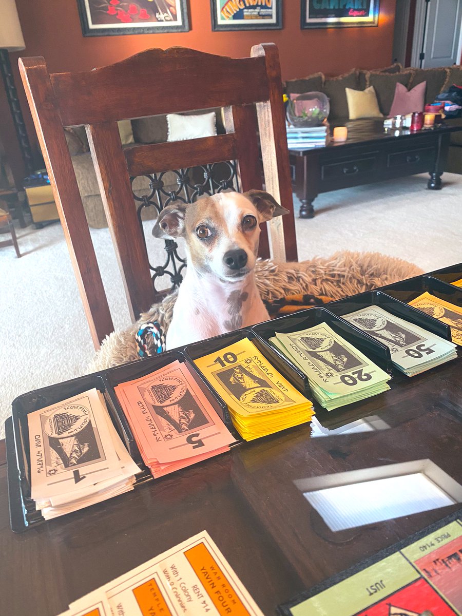 ContinoShann's tweet photo. New banker in town 🥰 https://t.co/AJhautx1LP