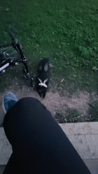 Disney princess status achieved https://t.co/MekzDsjiwC<a href="/tag/hashtags"class="tags"><span>#hashtags</span></a>