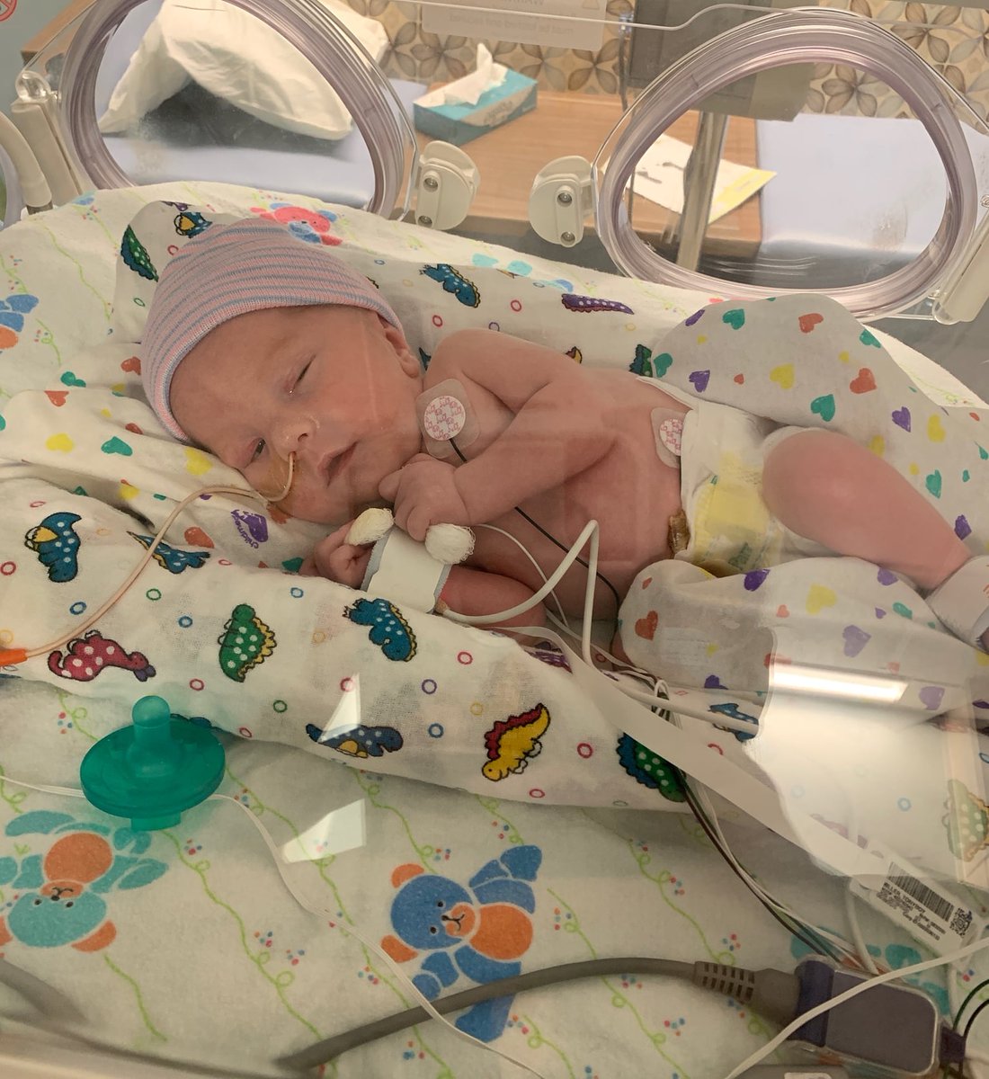 Tracy 🇺🇦🇺🇸 tweet media