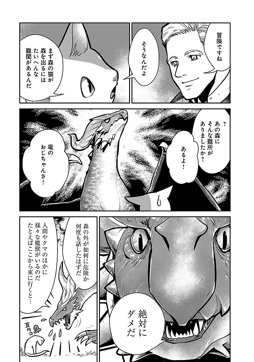 マンガボックス 心配性の竜と個性豊かな猫たちの 温かくやさしいファンタジー 猫と竜 佐々木泉先生 大熊まい先生 M Okuma01 アマラ先生 Tamazonnnoamara 第6話前編 本日公開 今月から月4回配信 異世界 ファンタジー 魔法 漫画 T