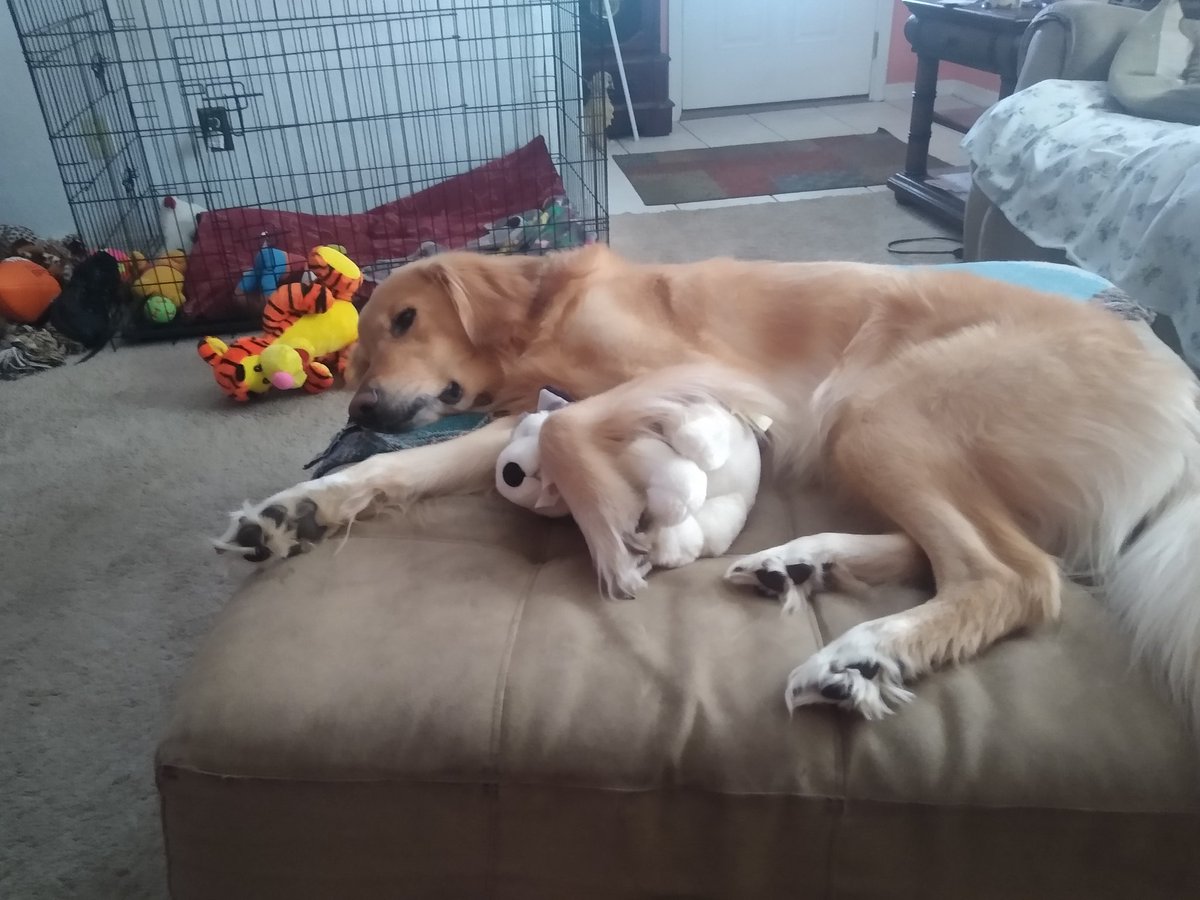 Michael Westen tweet media