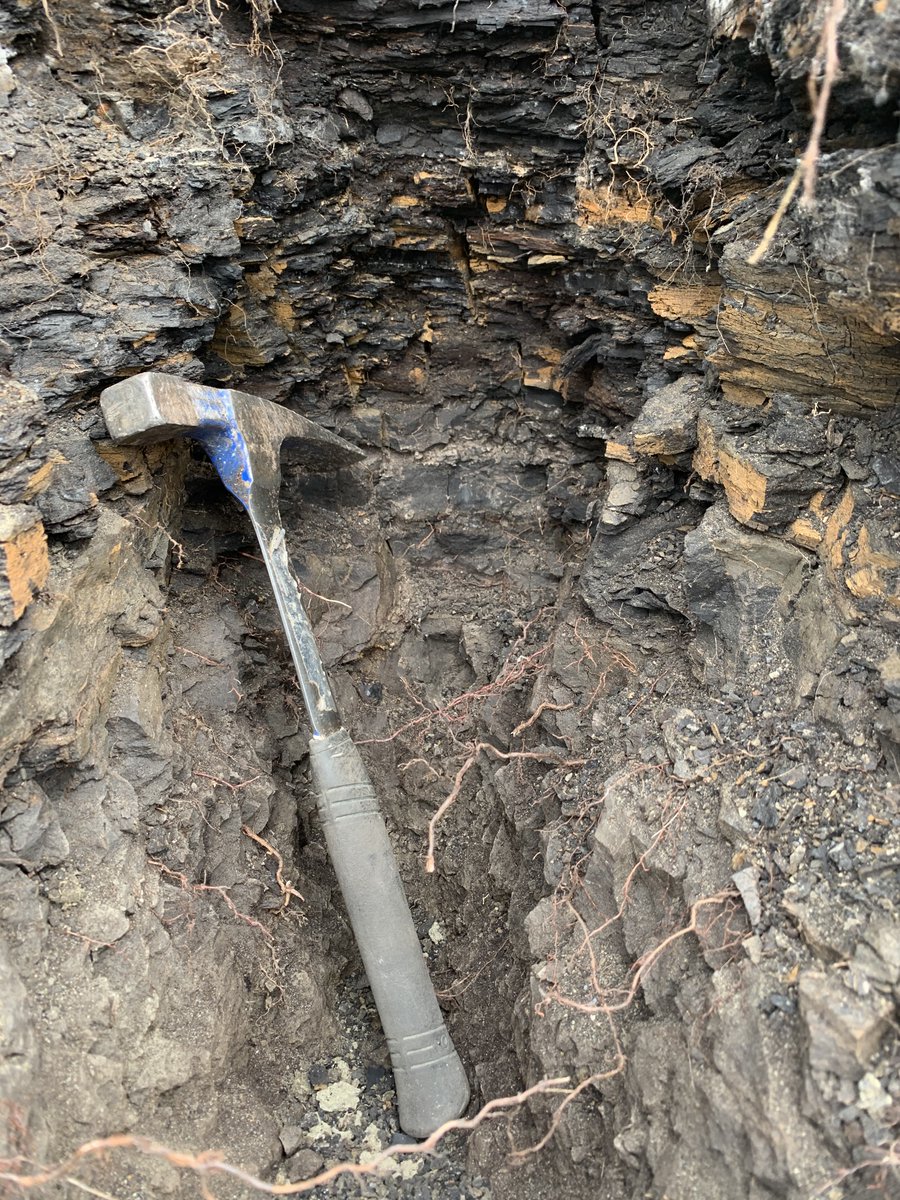 Hallieontology's tweet photo. @CliveBGS The hammer my parents gave me when I started studying geology in undergrad. Here indicating the iridium layer marking the K-Pg boundary in #Saskatchewan #GeoHammerTime #LiveFromTheField https://t.co/mqfPKYvNqc