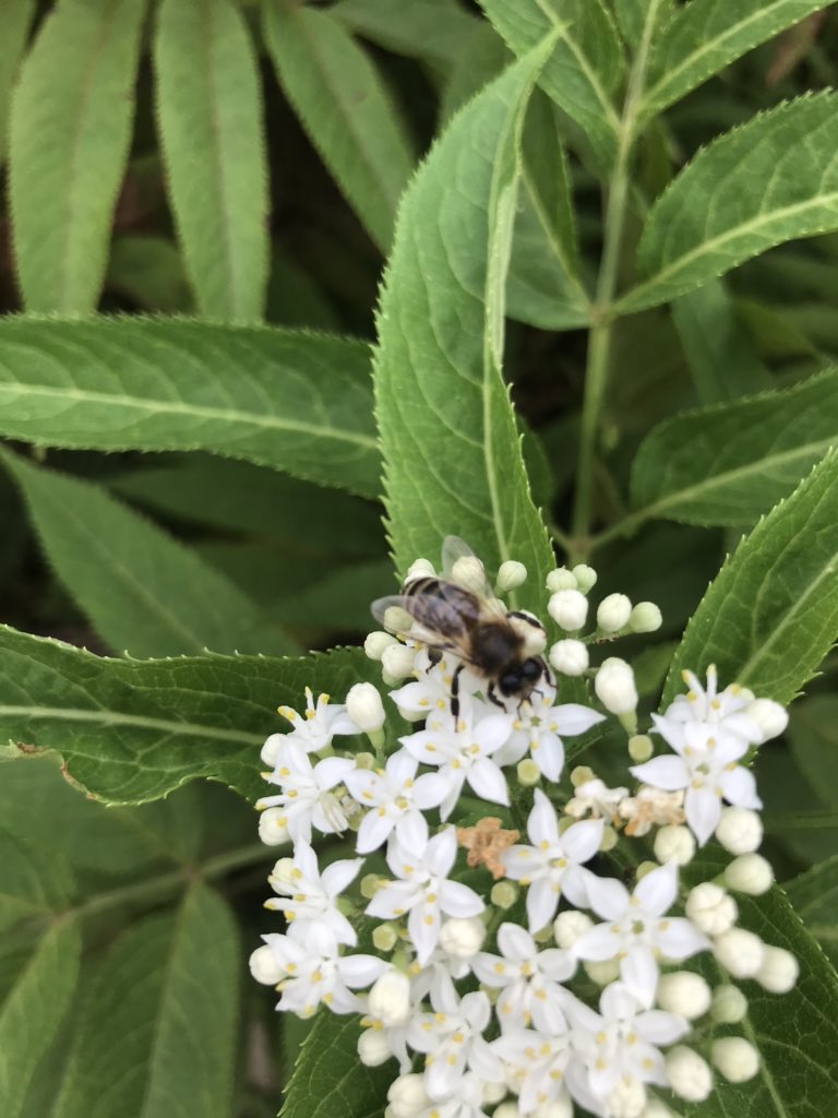 Sen ve ben ‘o an’ oradaydık. Kim bilir kaç kilometre yol katettik bu buluşma için.Hem de birbirimizden tamamen habersiz.