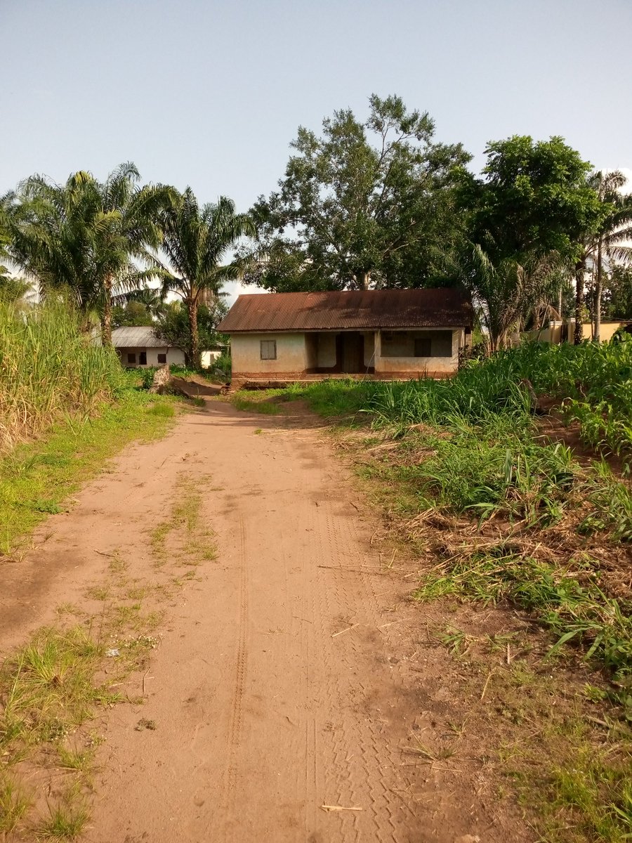 imo_voice's tweet photo. We call on Imo State Govt to urgently look into the rot in the primary health care sector of the State as most are in a state of coma, find below pictures of a health center serving Umuopia Akokwa &amp; Uzii in Ideato North LGA, Imo State.
@GovtOfImoState
@Hope_Uzodimma1
@nwaeleberi https://t.co/EksCMXKsT4