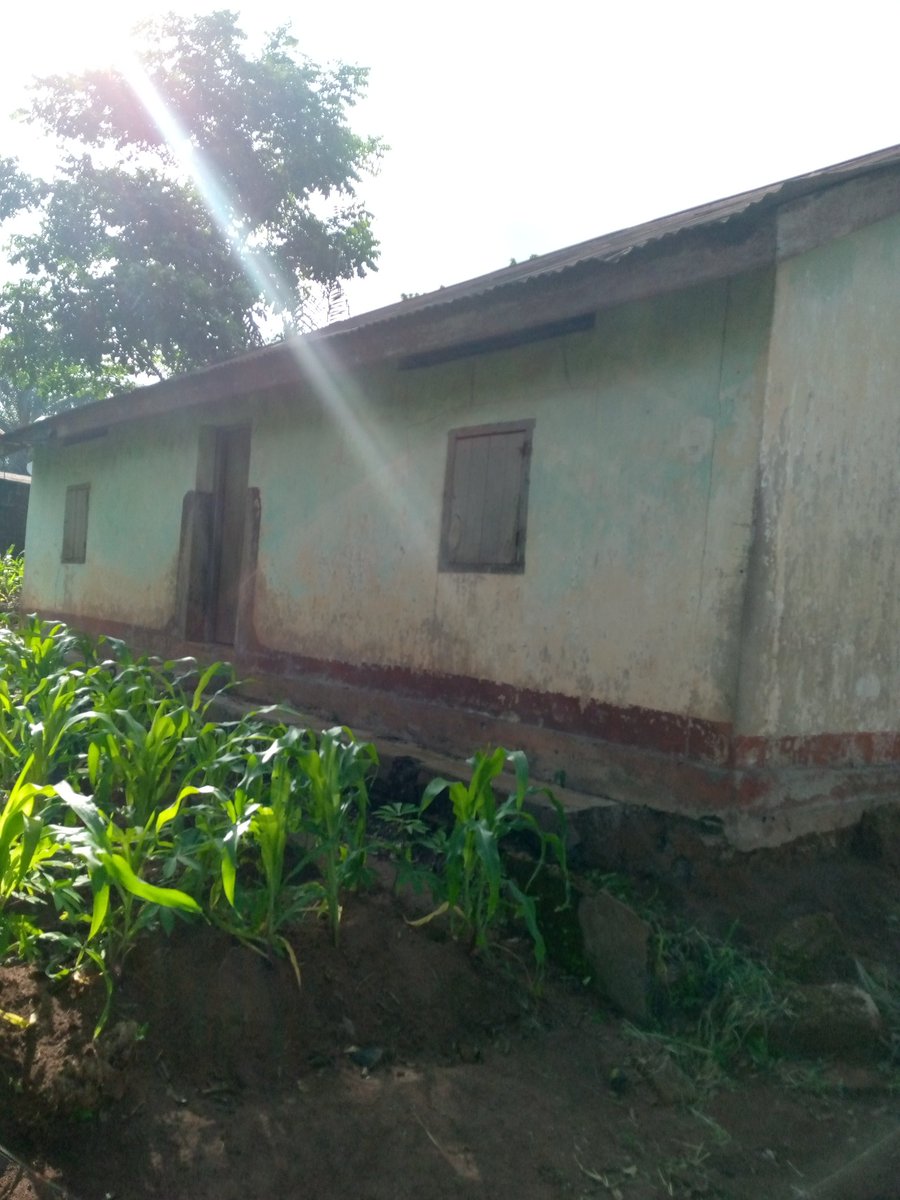 imo_voice's tweet photo. We call on Imo State Govt to urgently look into the rot in the primary health care sector of the State as most are in a state of coma, find below pictures of a health center serving Umuopia Akokwa &amp; Uzii in Ideato North LGA, Imo State.
@GovtOfImoState
@Hope_Uzodimma1
@nwaeleberi https://t.co/EksCMXKsT4
