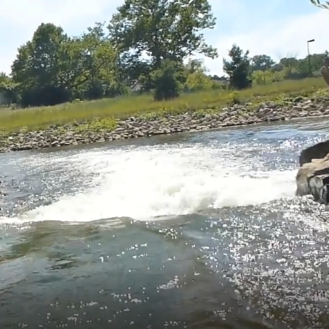 huron100's tweet photo. I can't forget to mention the fun RAPIDS that one encounters on the river. The Huron is low & slow in August, so they weren't in their full glory (had to walk through Delhi), but still tons of fun! https://t.co/sdeIVUvBrF
#huron100 #huronriver #rapids #canoeing https://t.co/phb5GZ9lWo