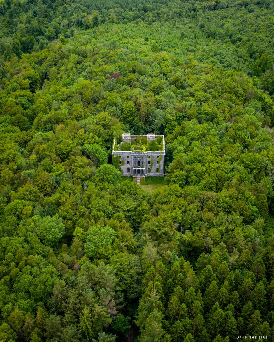 UpInTheEire_'s tweet image. Hello Twitter! I’m a bit late to the party but I will be sharing my photos on here from now! Here is one of Moore Hall in Mayo to get the ball rolling! #dronephotography #Ireland #WildAtlanticWay #mayo