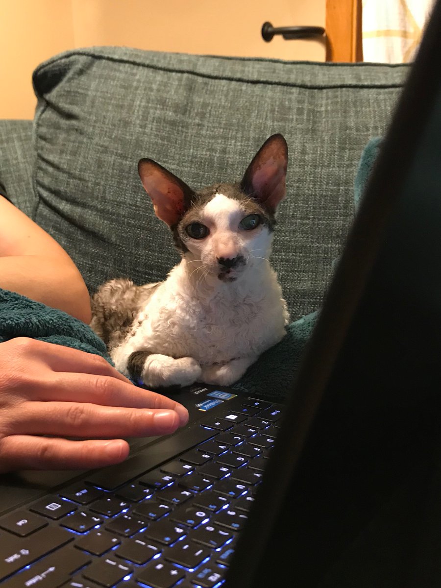 CharlieForShow1's tweet photo. Doin an important WORK, why interrupted me https://t.co/2UhrHJodp1