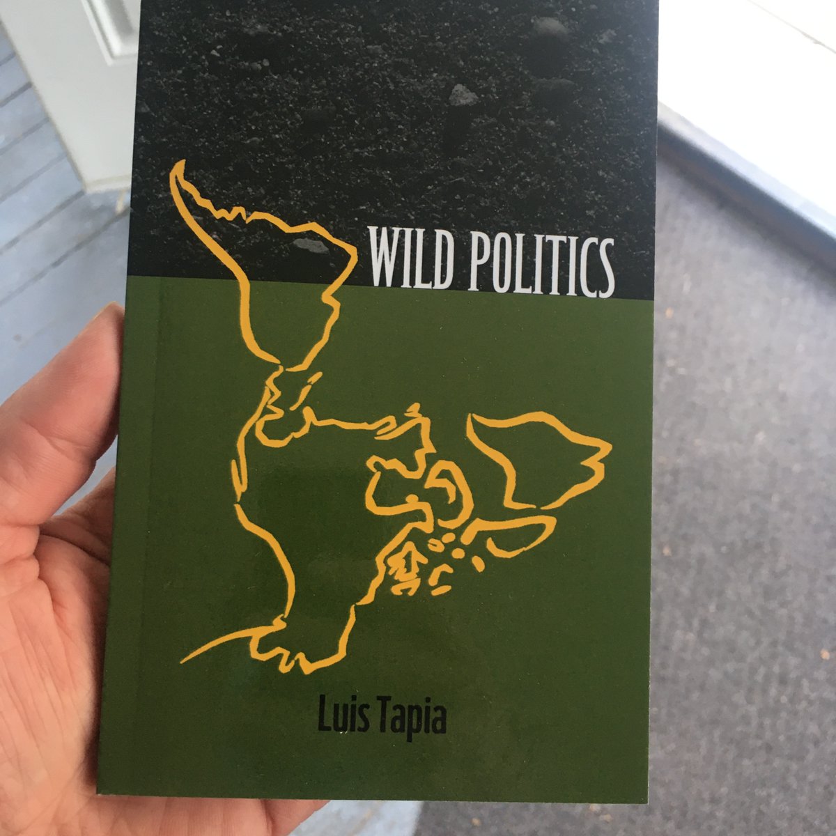Changing_Suns's tweet photo. New Book! 
Wild Politics
by Luis Tapia
Translated by Nate Freiburger

Available at: 
https://t.co/ge68KIht4B https://t.co/UJkbiwauMo