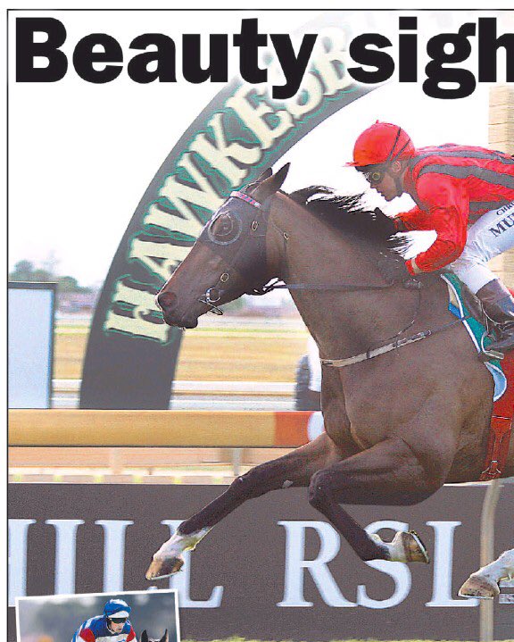 GooreeStud's tweet photo. Throwback Thursday 🔴⚫️
BEAUTY WATCH was no oil painting but placed in three G1 races and won Hawkesbury Cup and Rowley Mile. Another big tough Gooree Homebred trained by Gai!
#throwbackthursday #gooree https://t.co/FSP3ZXYncQ